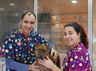 Centre Veterinari Calp, una moderna clínica de  VETCLINICS Technological Pet Care