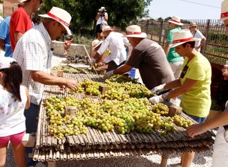 Teulada homenajea a su producto estrella, la uva de Moscatel