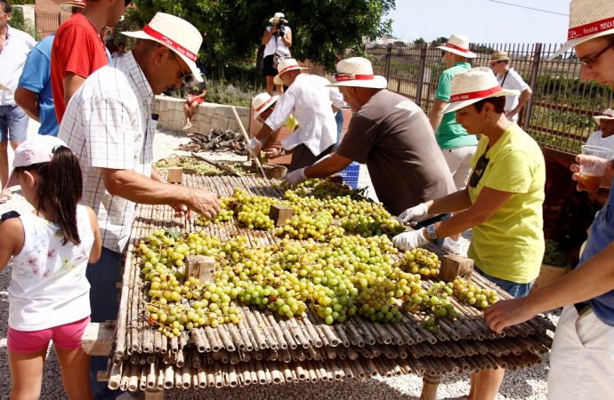 Teulada homenajea a su producto estrella,  la uva de Moscatel