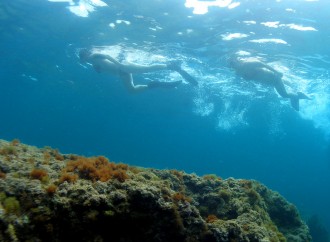 Sumérgete en el fondo del mar de Benissa