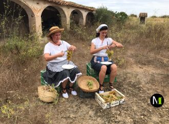 #Moscatelízate Benissa, un placer para los cinco sentidos