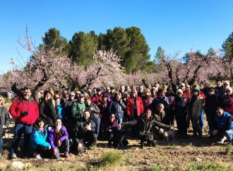 La IV edición de Feslalí comienza su andadura con enorme éxito de participación