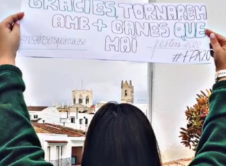 Festers Puríssima Xiqueta 2020 se visten de largo para celebrar su “Festival Quarentena”