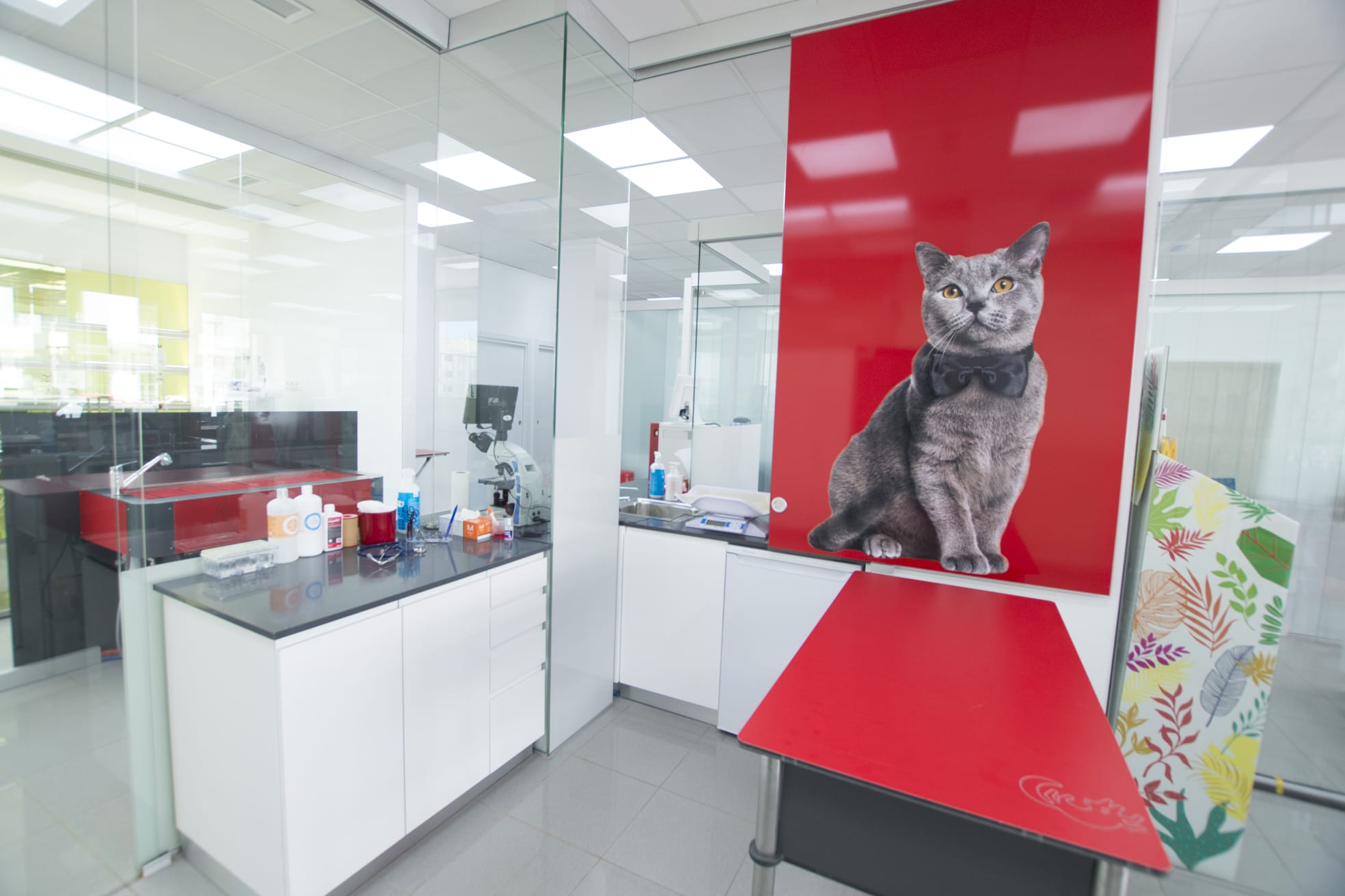 VetClinics, especialidades veterinarias para las dos marinas El