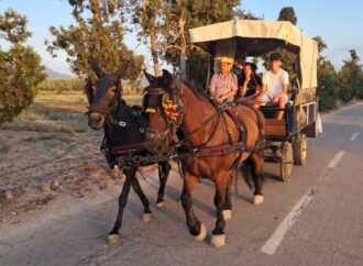 La Volta en Carro: Un Viaje de Tradición y Convivencia
