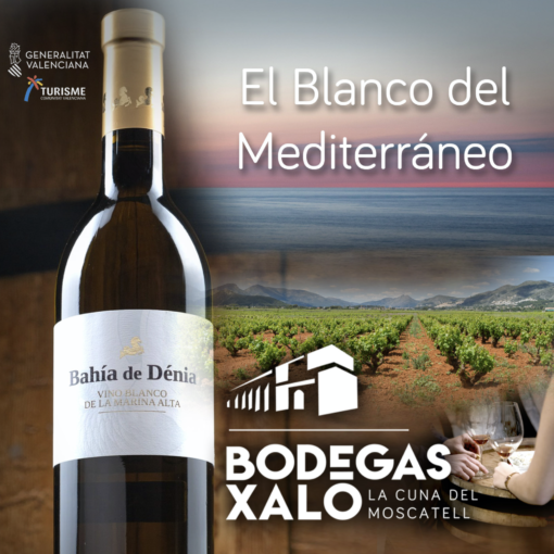 banner el mirall de la marina