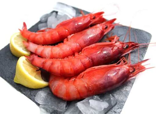 La gamba roja de Dénia: el producto más exclusivo de la Costa Blanca