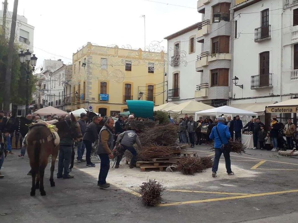 Porrat de Sant Antoni en Benissa, viendo como hacen la foguera